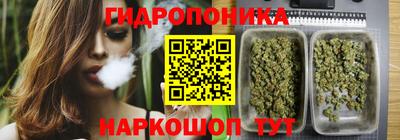 гидропоника Ставрополь