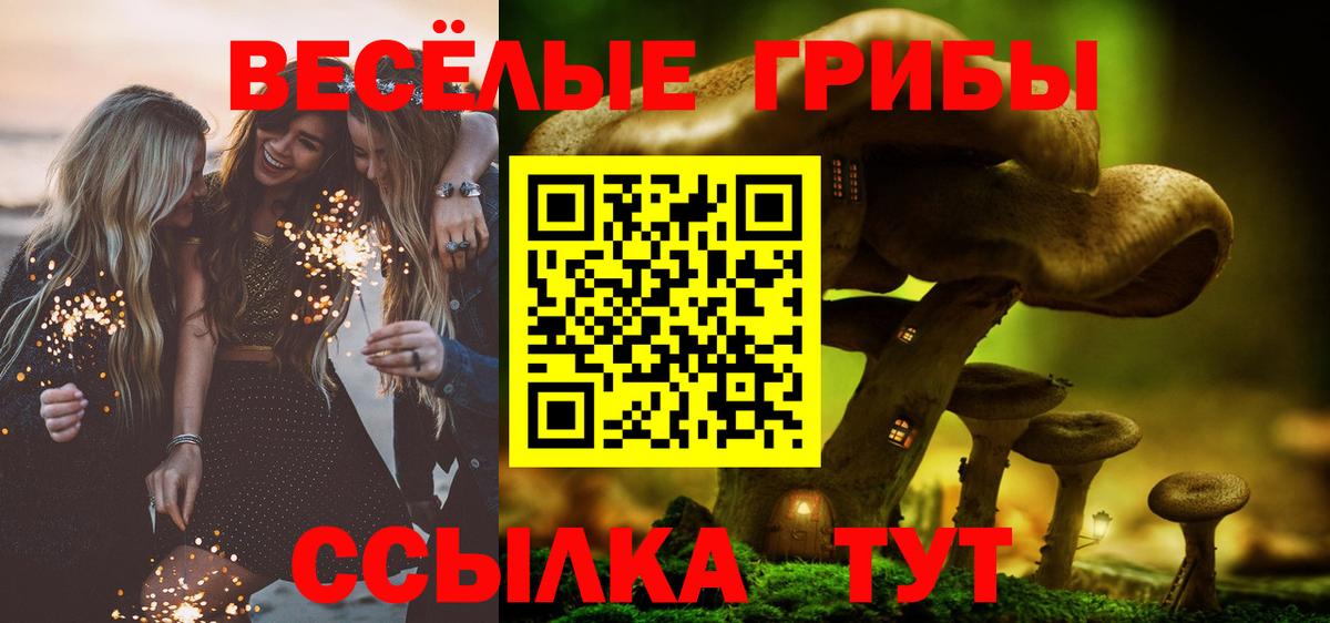 Псилоцибиновые грибы Psilocybe  Вход с VPN  Тихвин  Псилоцибиновые грибы Psilocybe 